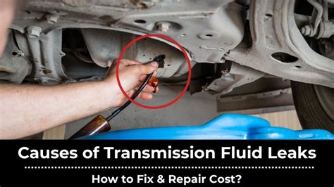 Transmission Fluid Leak Cost, Causes & How to Fix